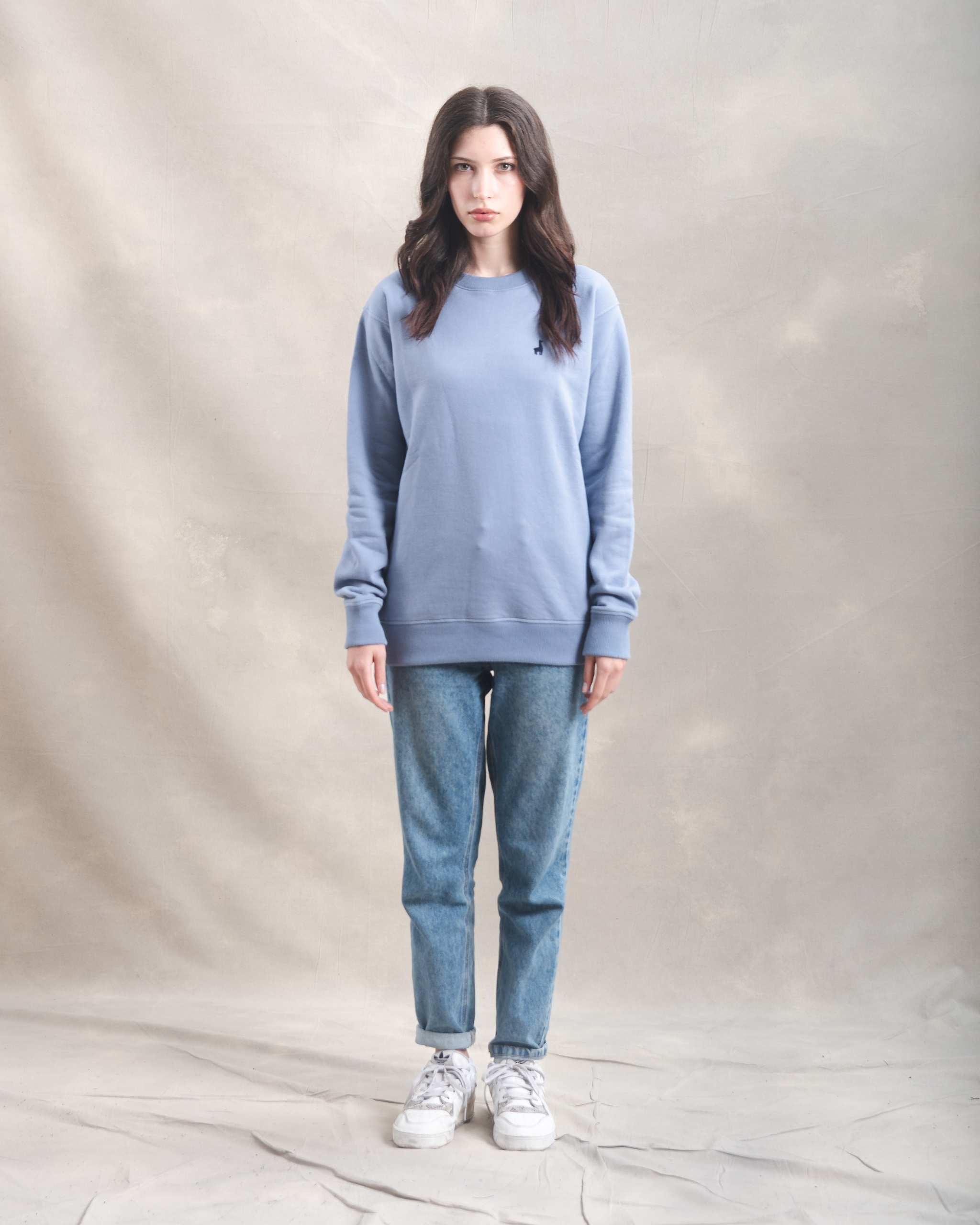 Polera Crewneck Oversize Blue Lila