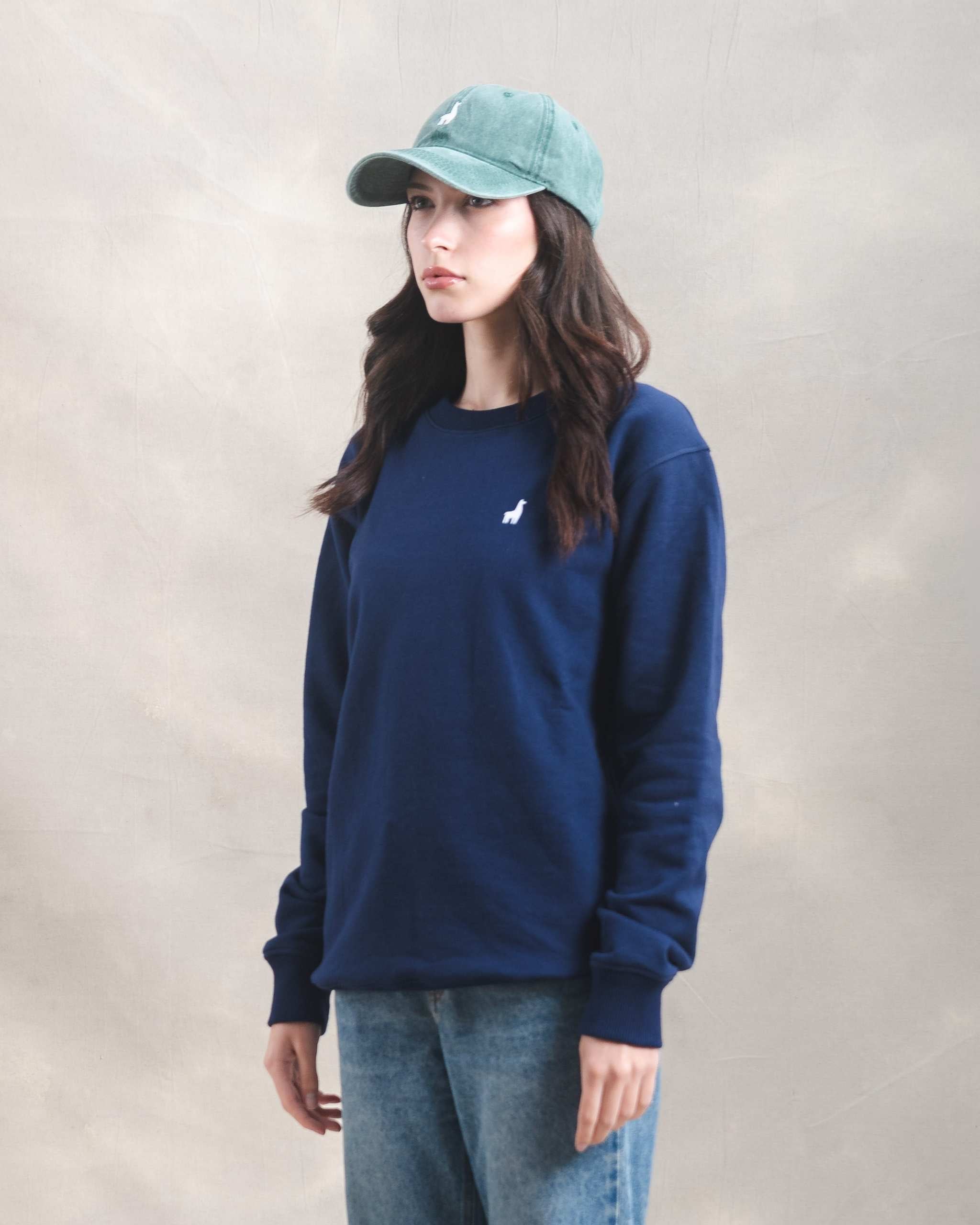 Polera Crewneck Oversize Azul