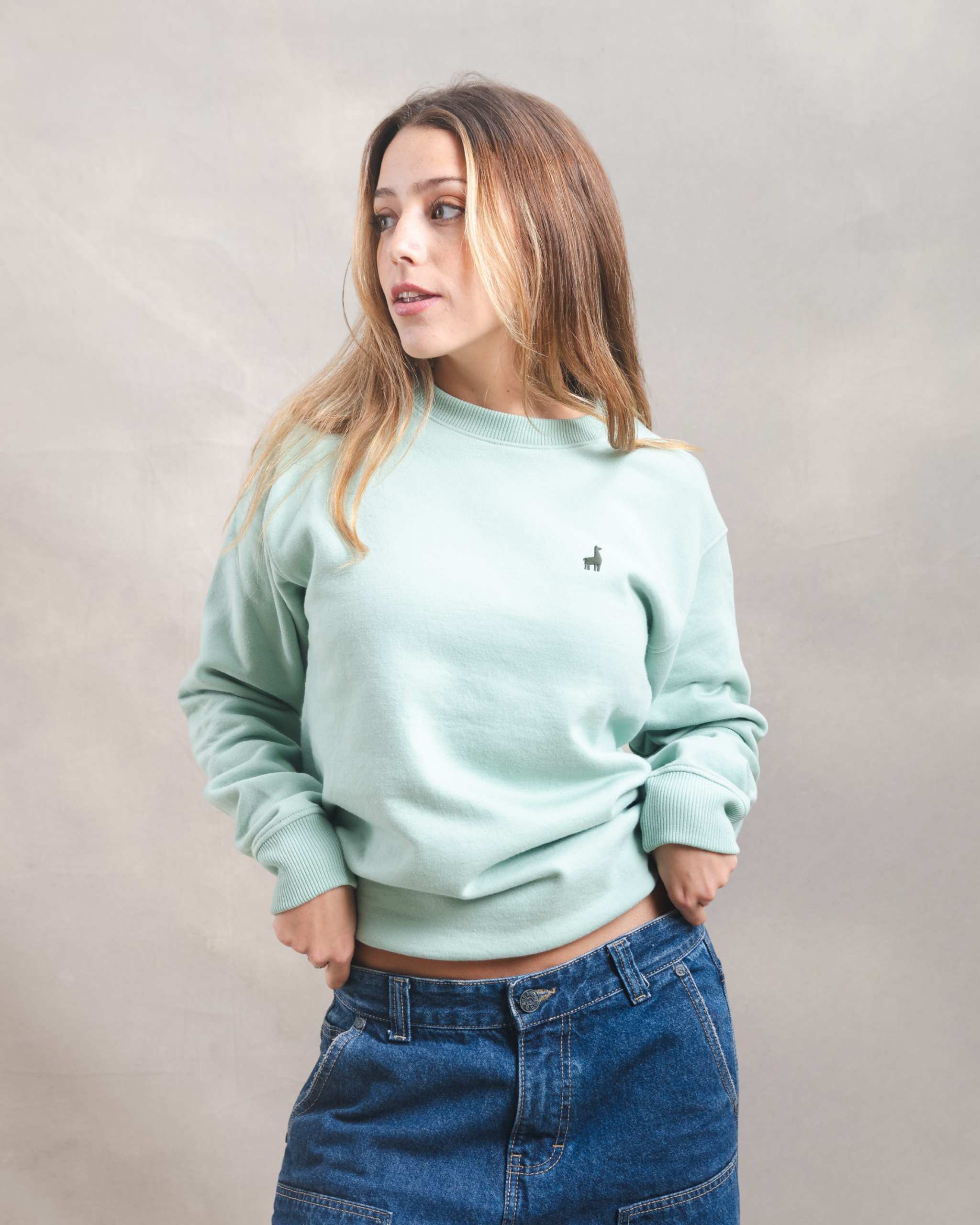 Polera Crewneck Oversize Menta