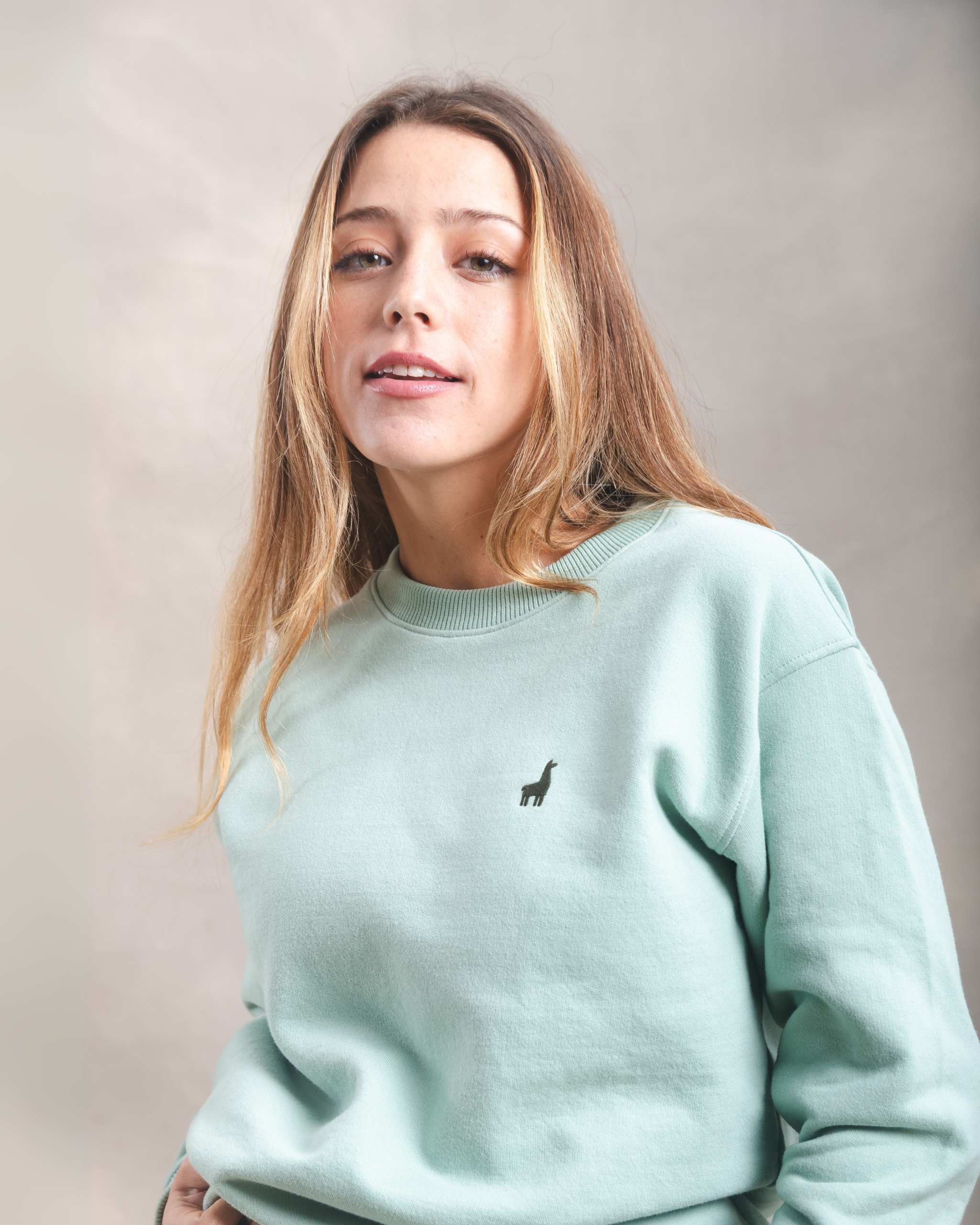 Polera Crewneck Oversize Menta