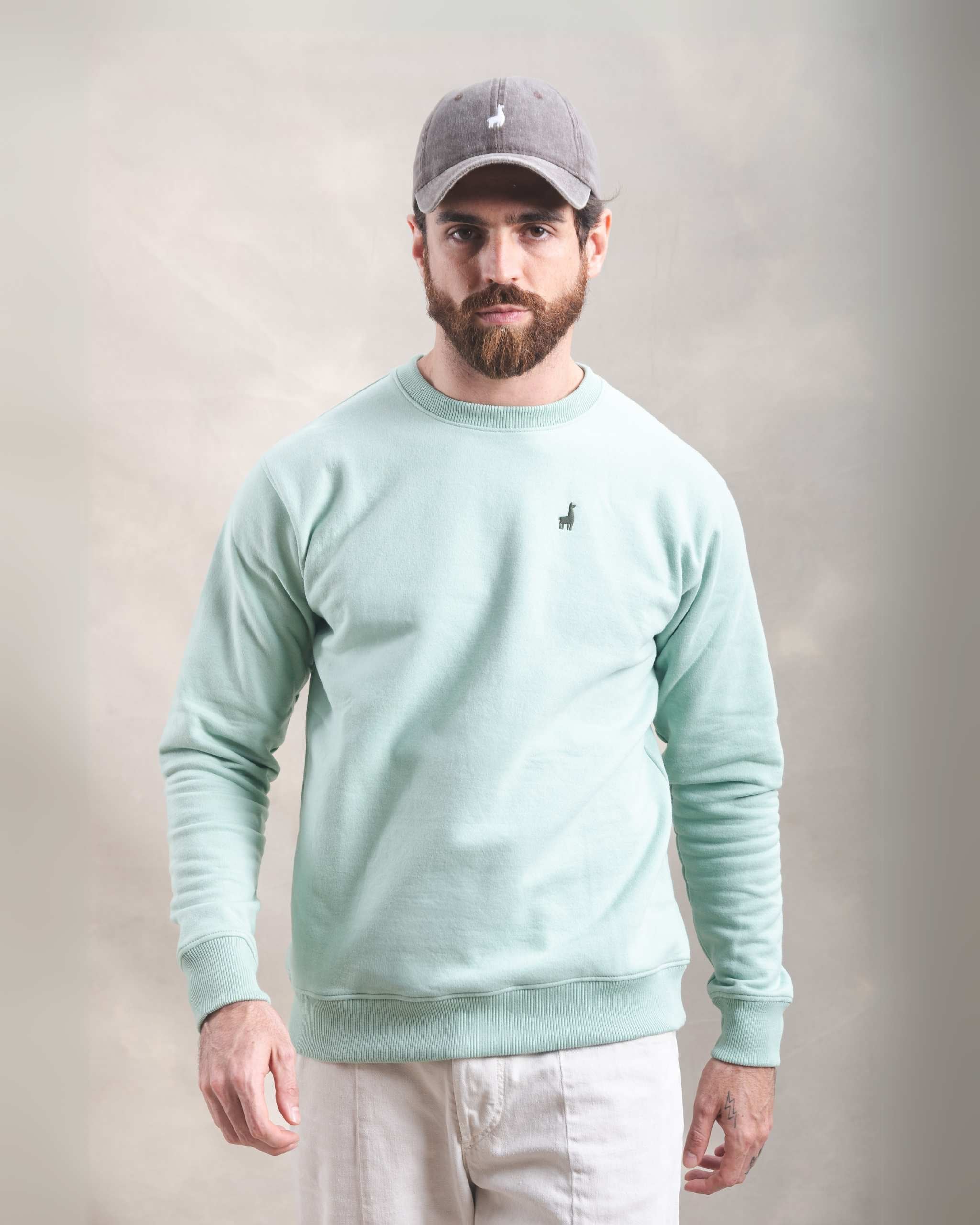 Polera Crewneck Menta