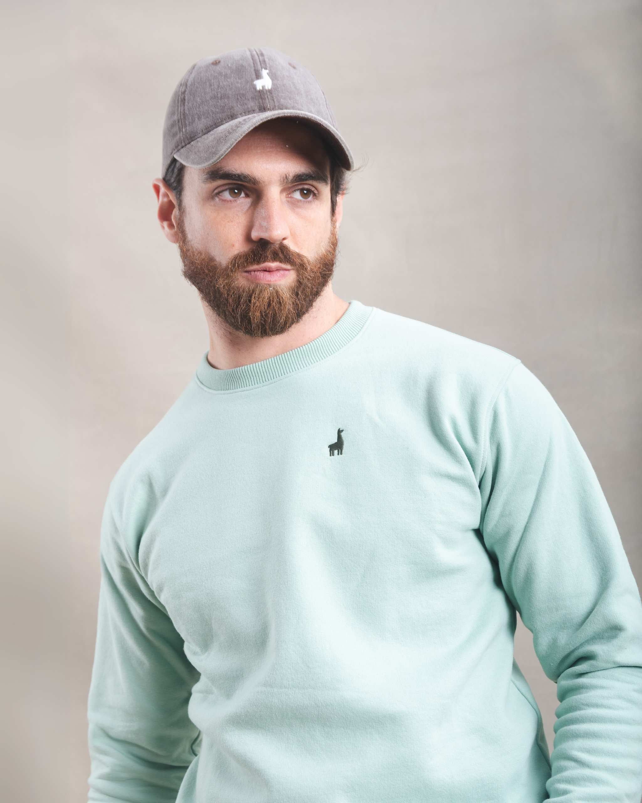 Polera Crewneck Menta