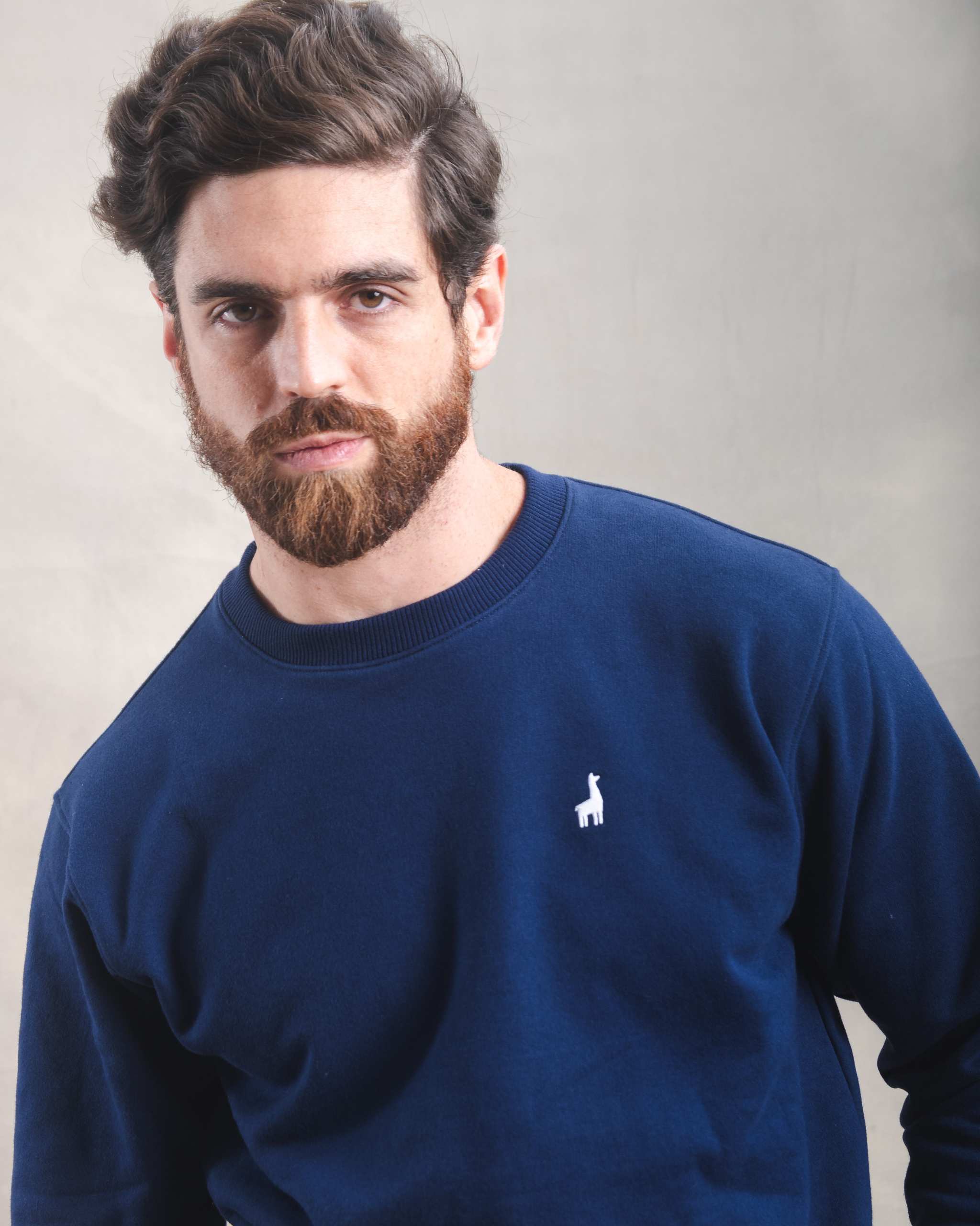 Polera Crewneck Azul