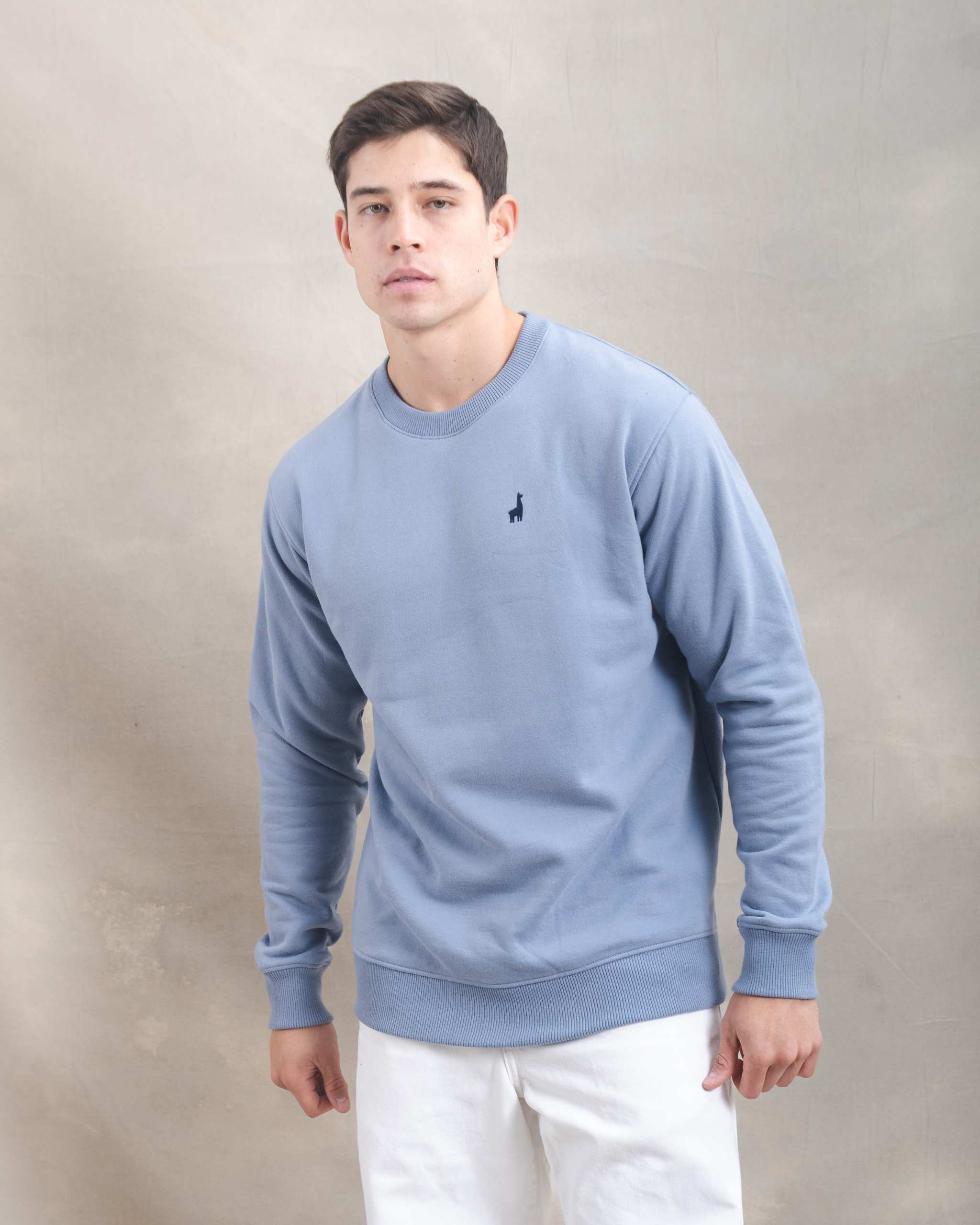 Polera Crewneck Blue Lila