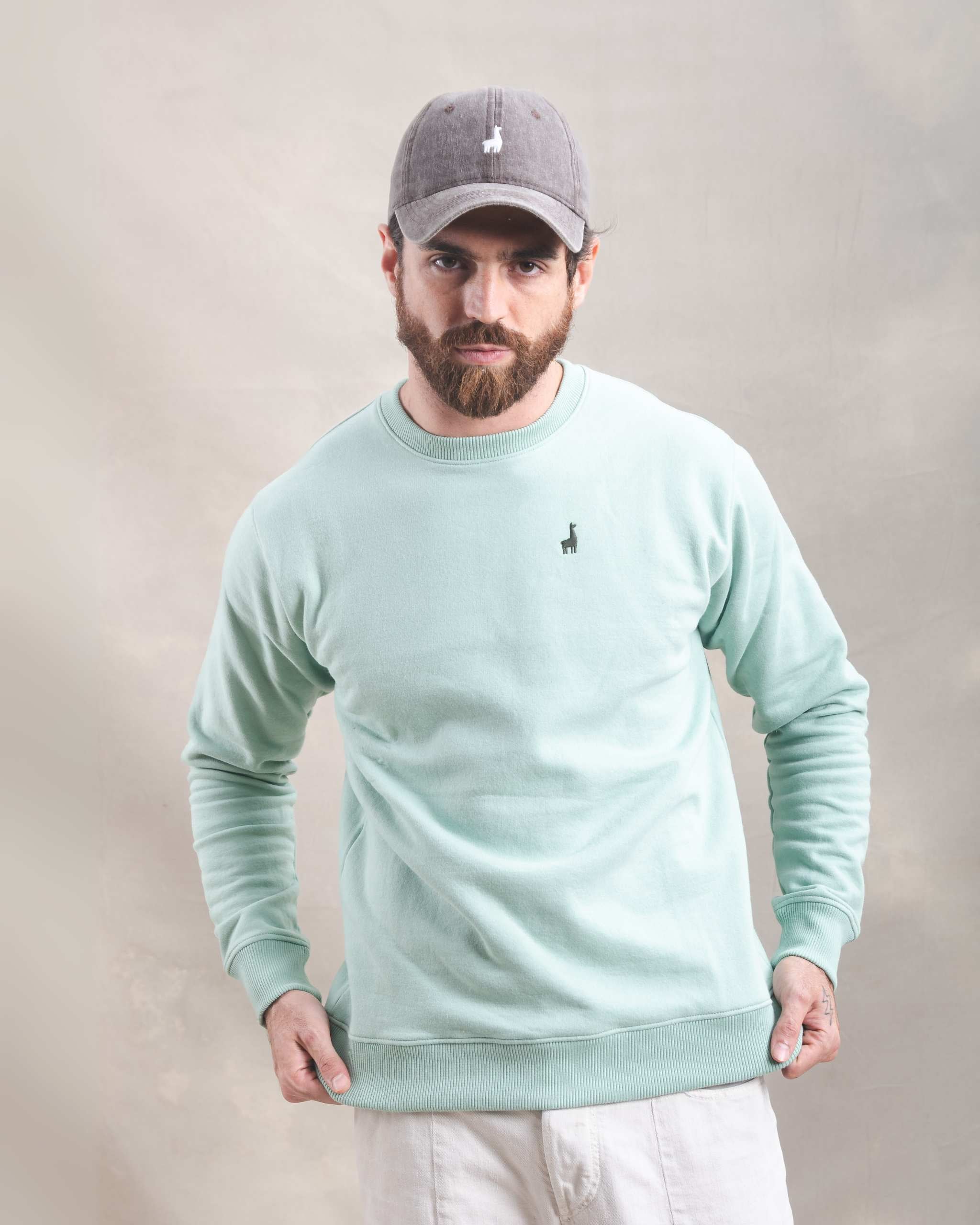 Polera Crewneck Menta