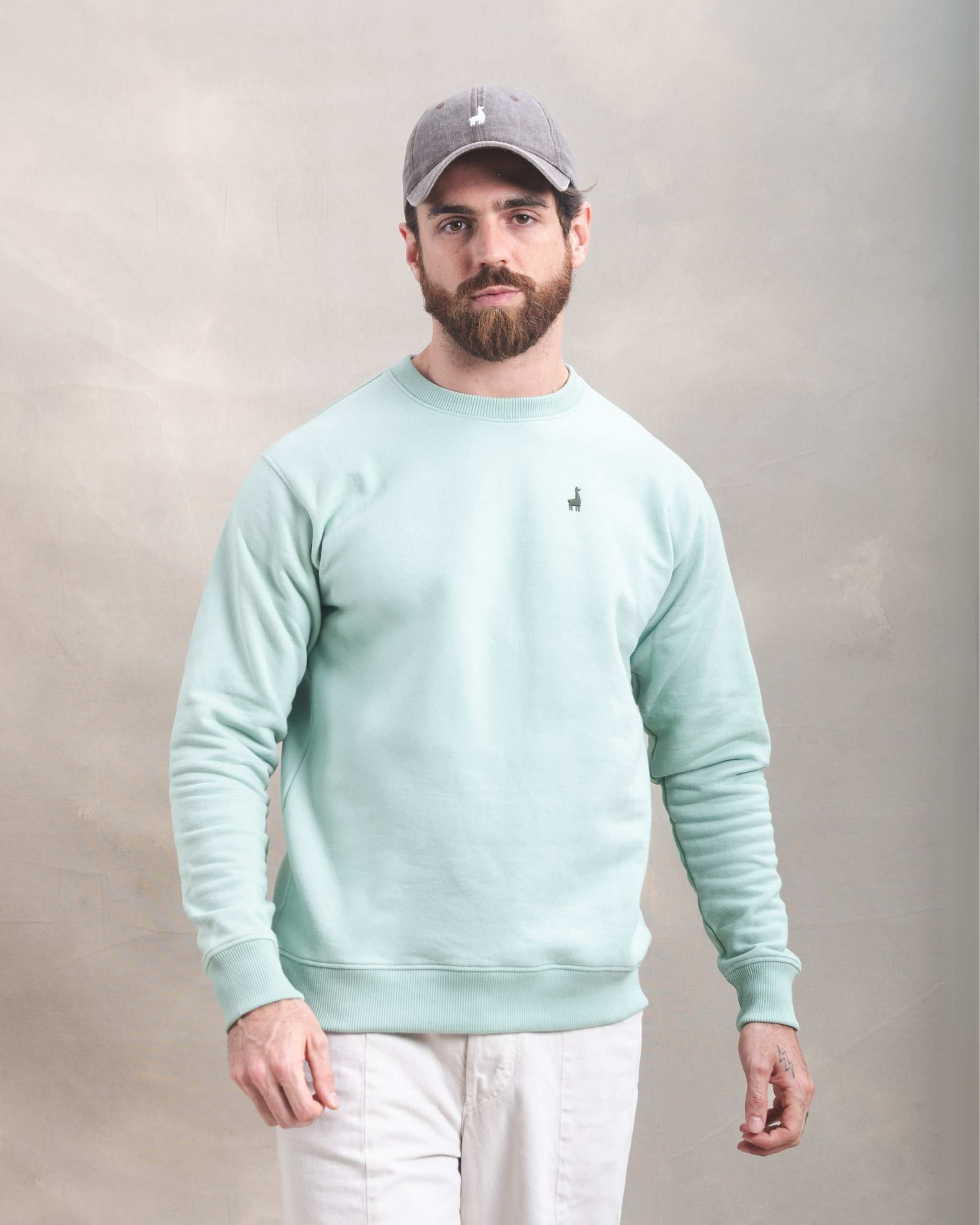 Polera Crewneck Menta
