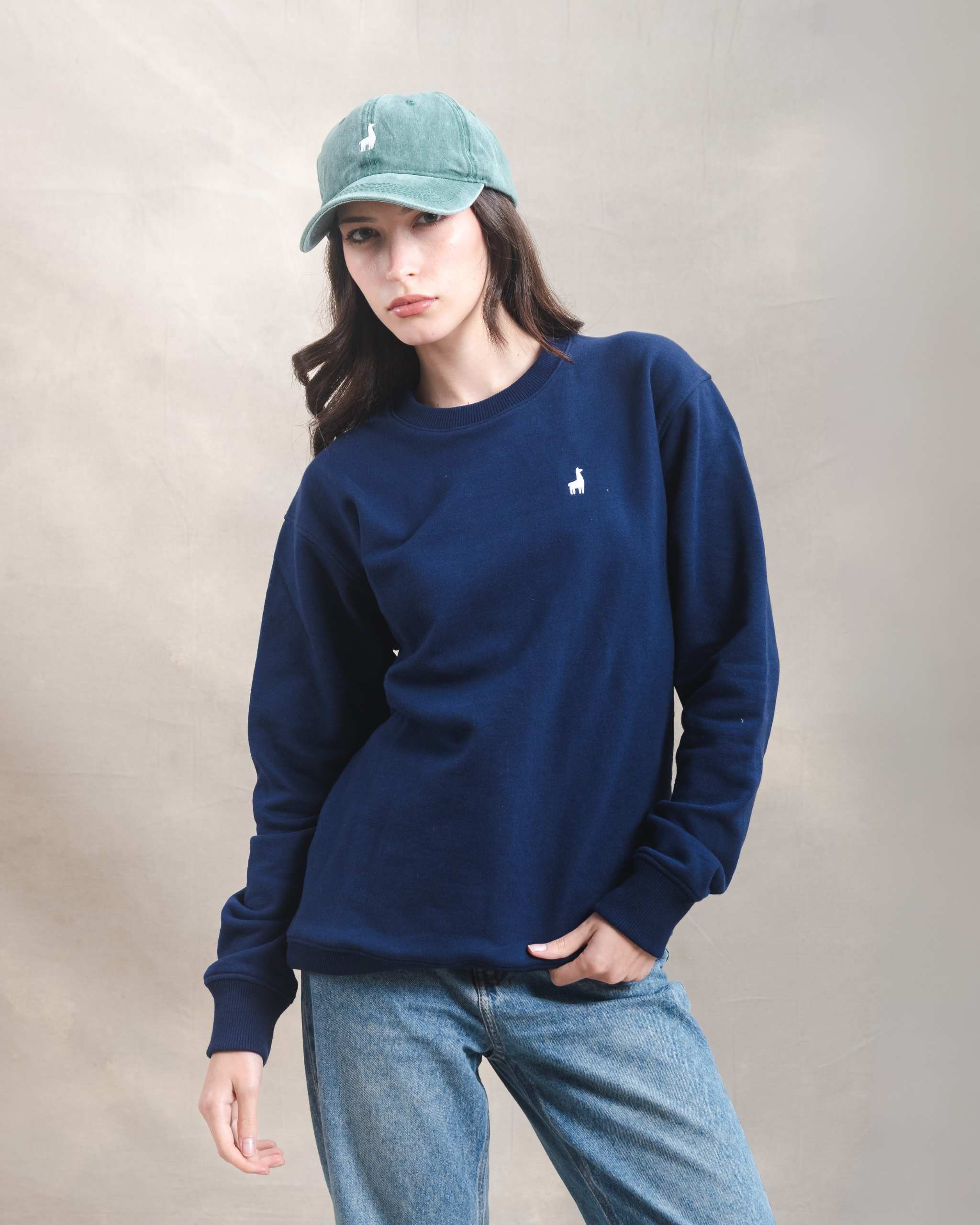 Polera Crewneck Oversize Azul