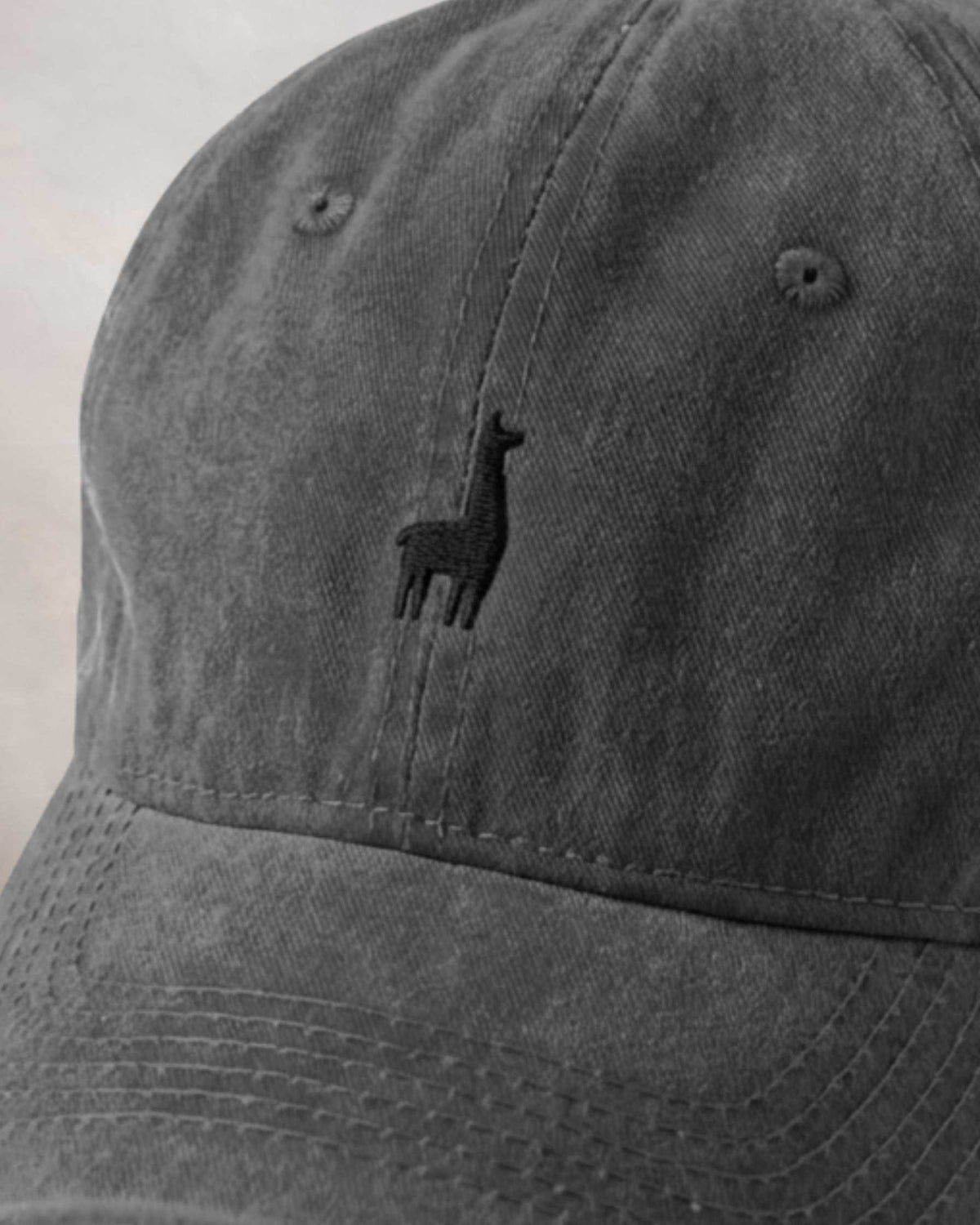 Gorra All Black