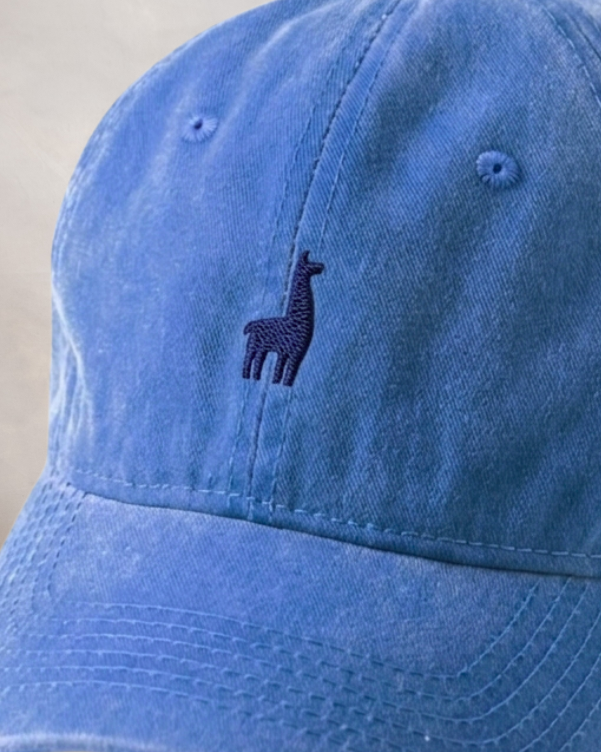 Gorra Azulino Minimal