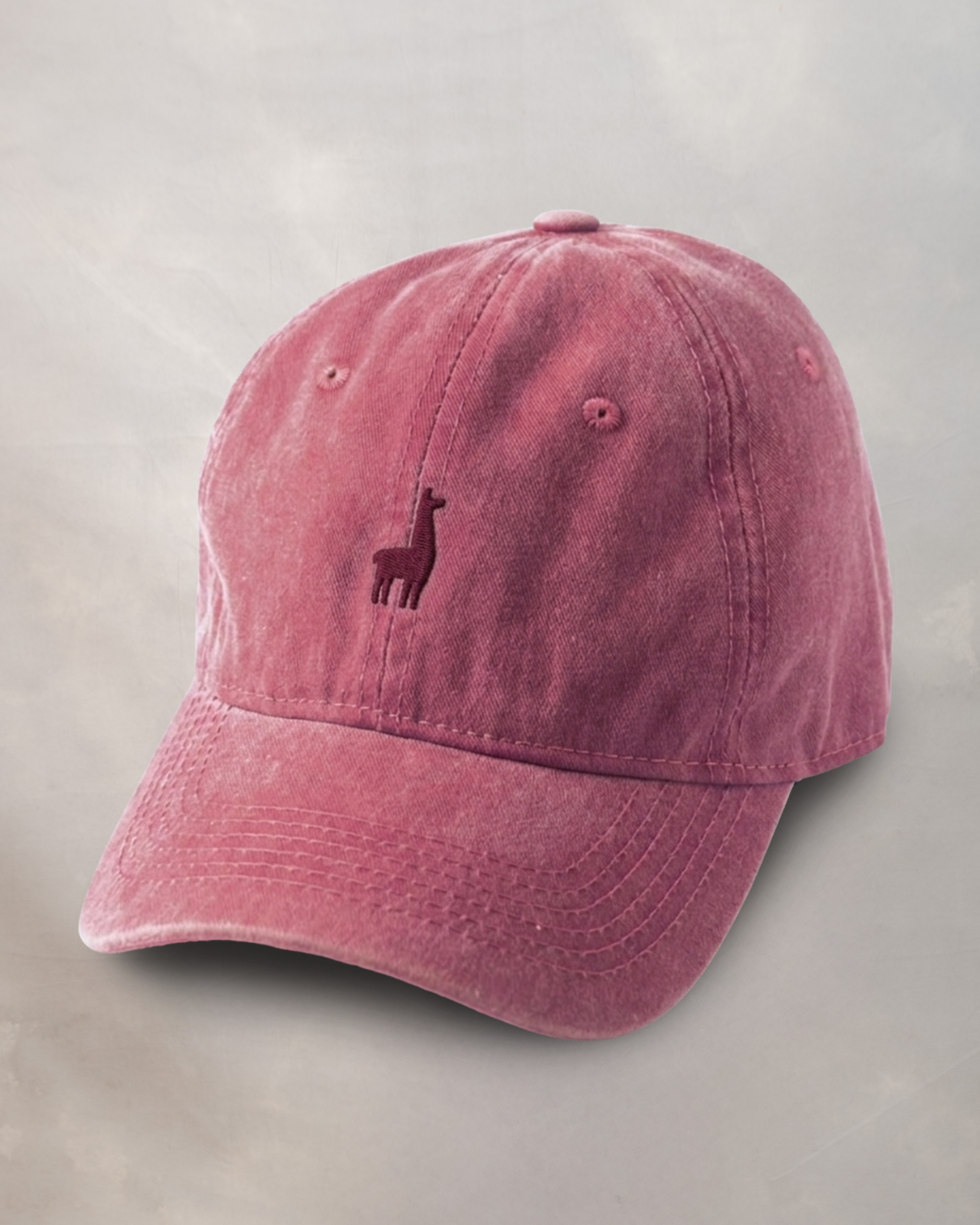Gorra Guinda Minimal