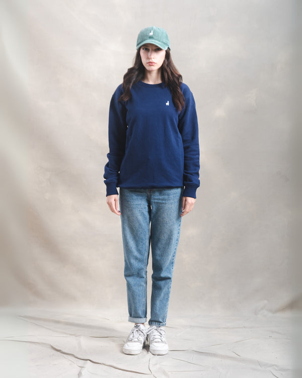 Polera Crewneck Oversize Azul