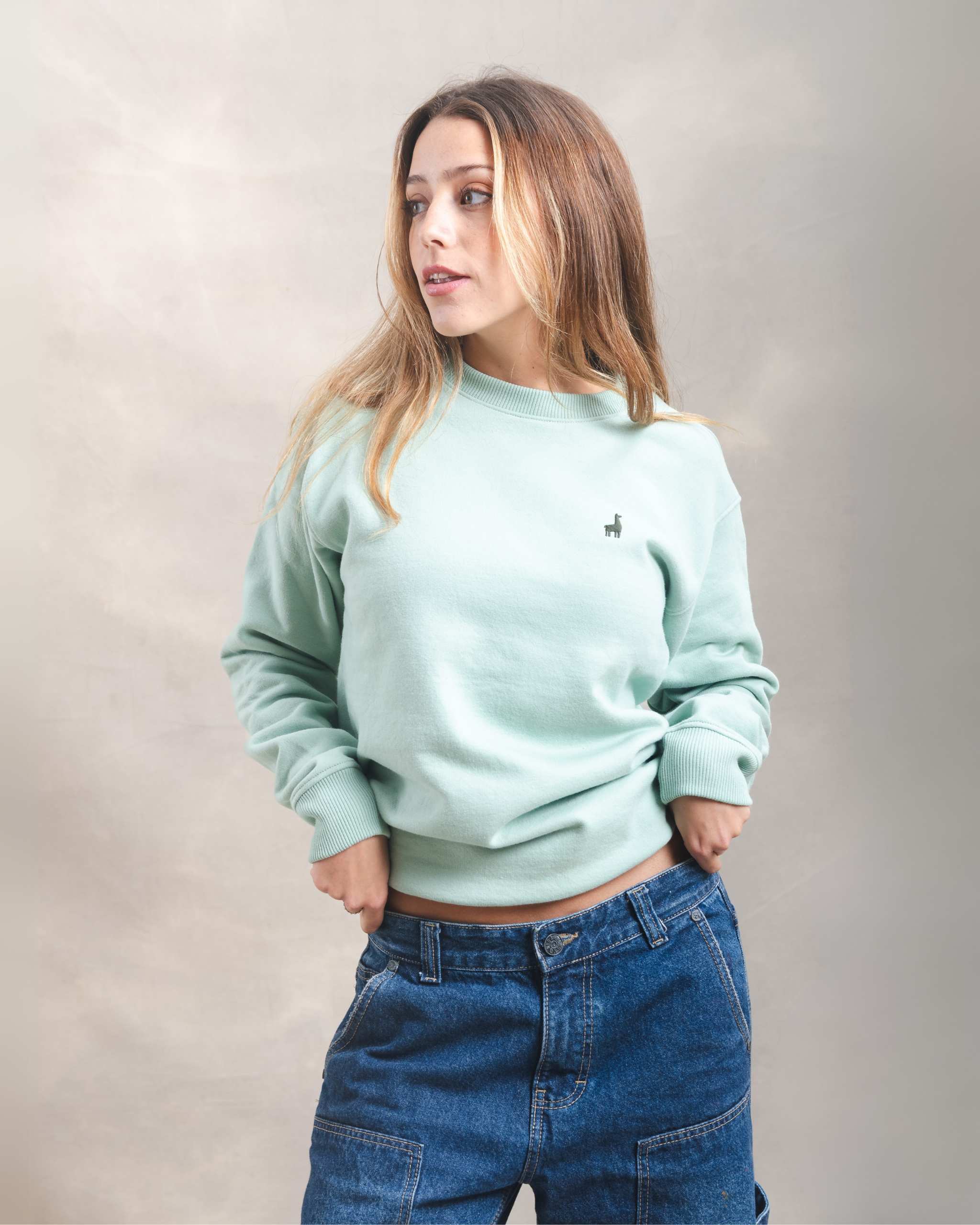 Polera Crewneck Oversize Menta