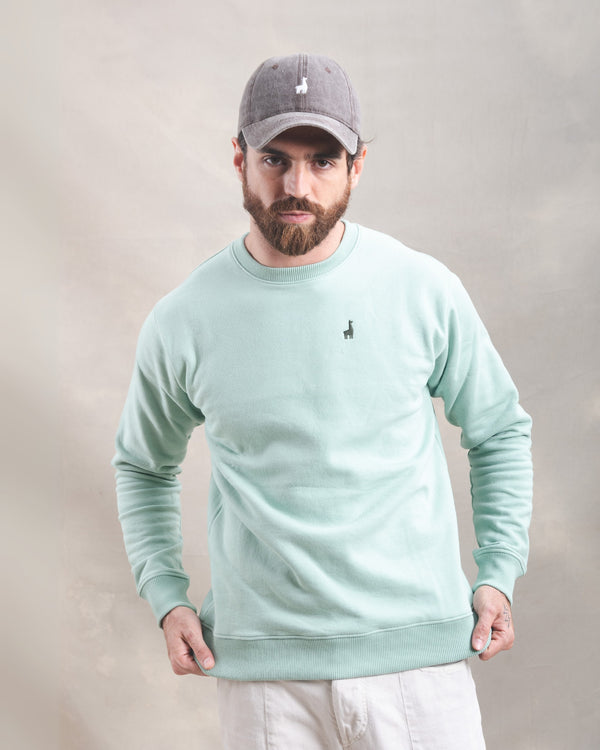 Polera Crewneck Menta