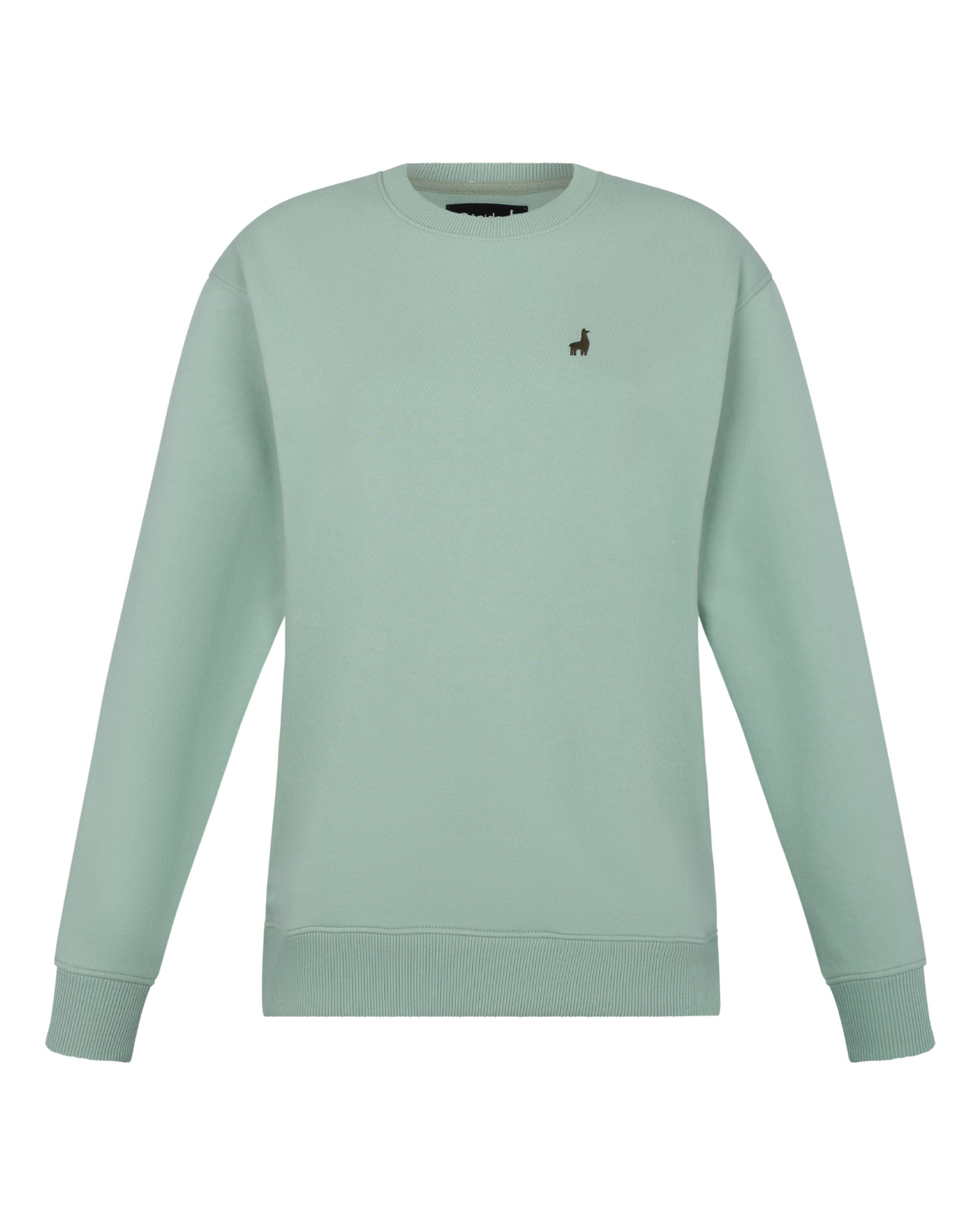 Polera Crewneck Oversize Menta