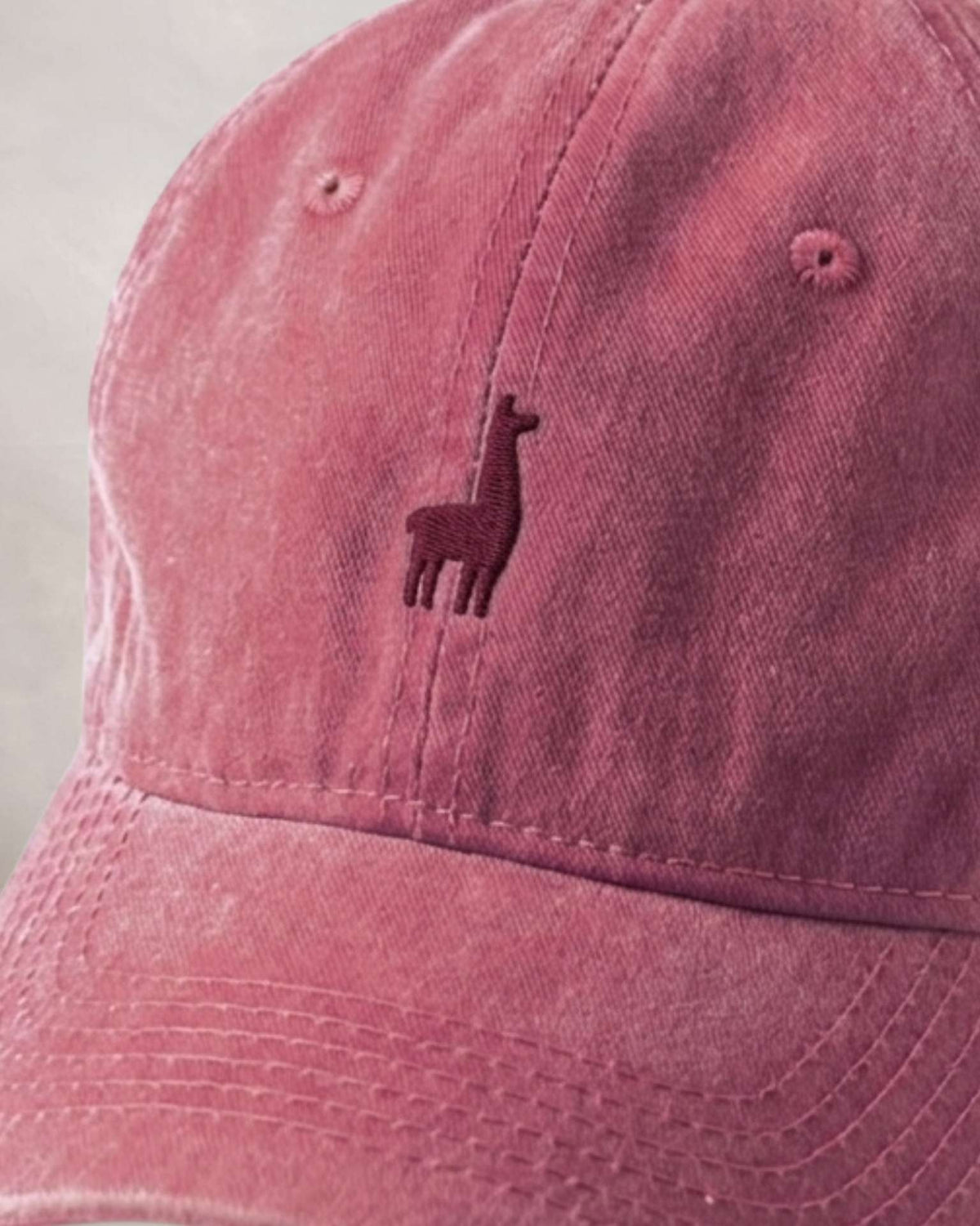 Gorra Guinda Minimal