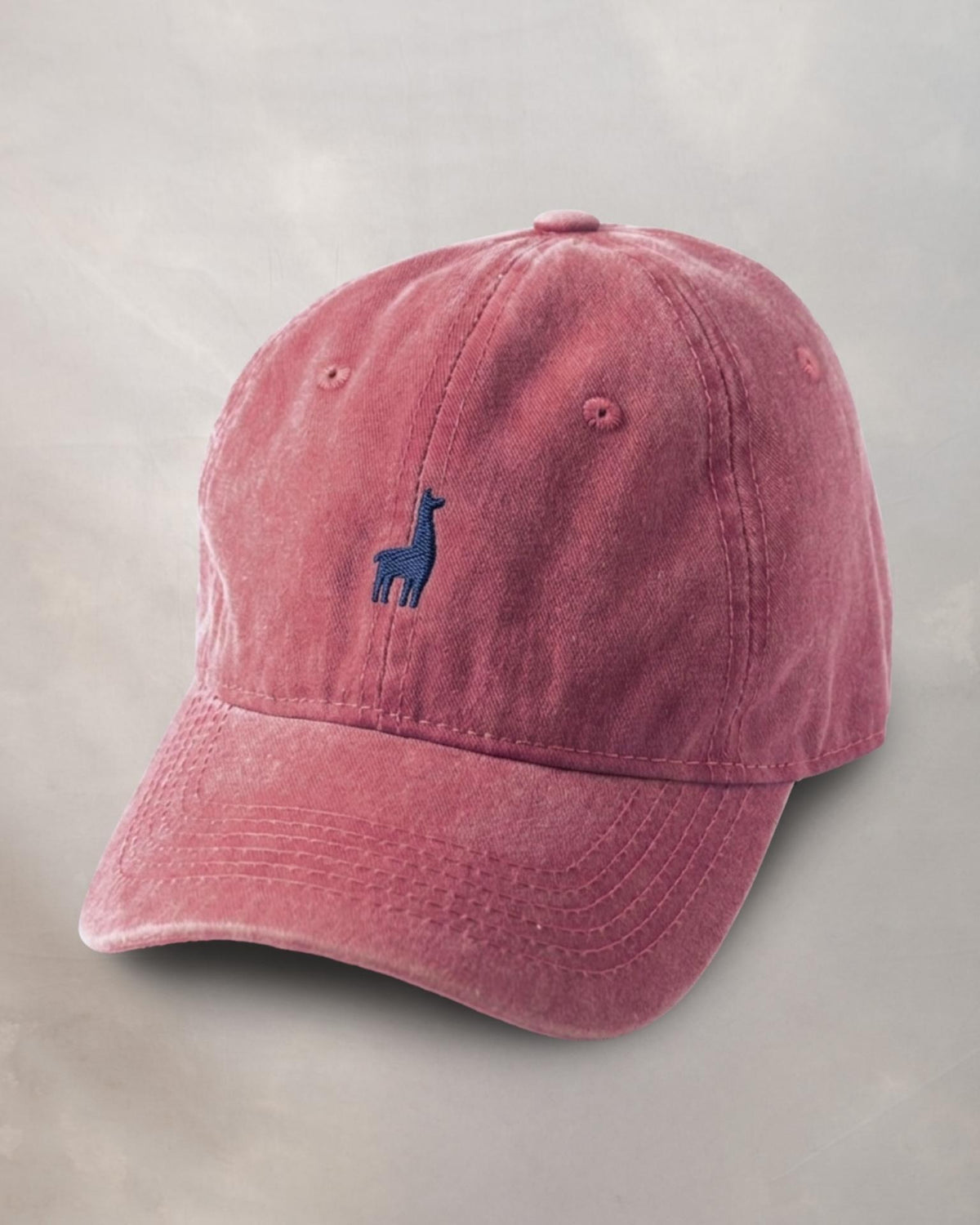 Gorra Guinda Blue