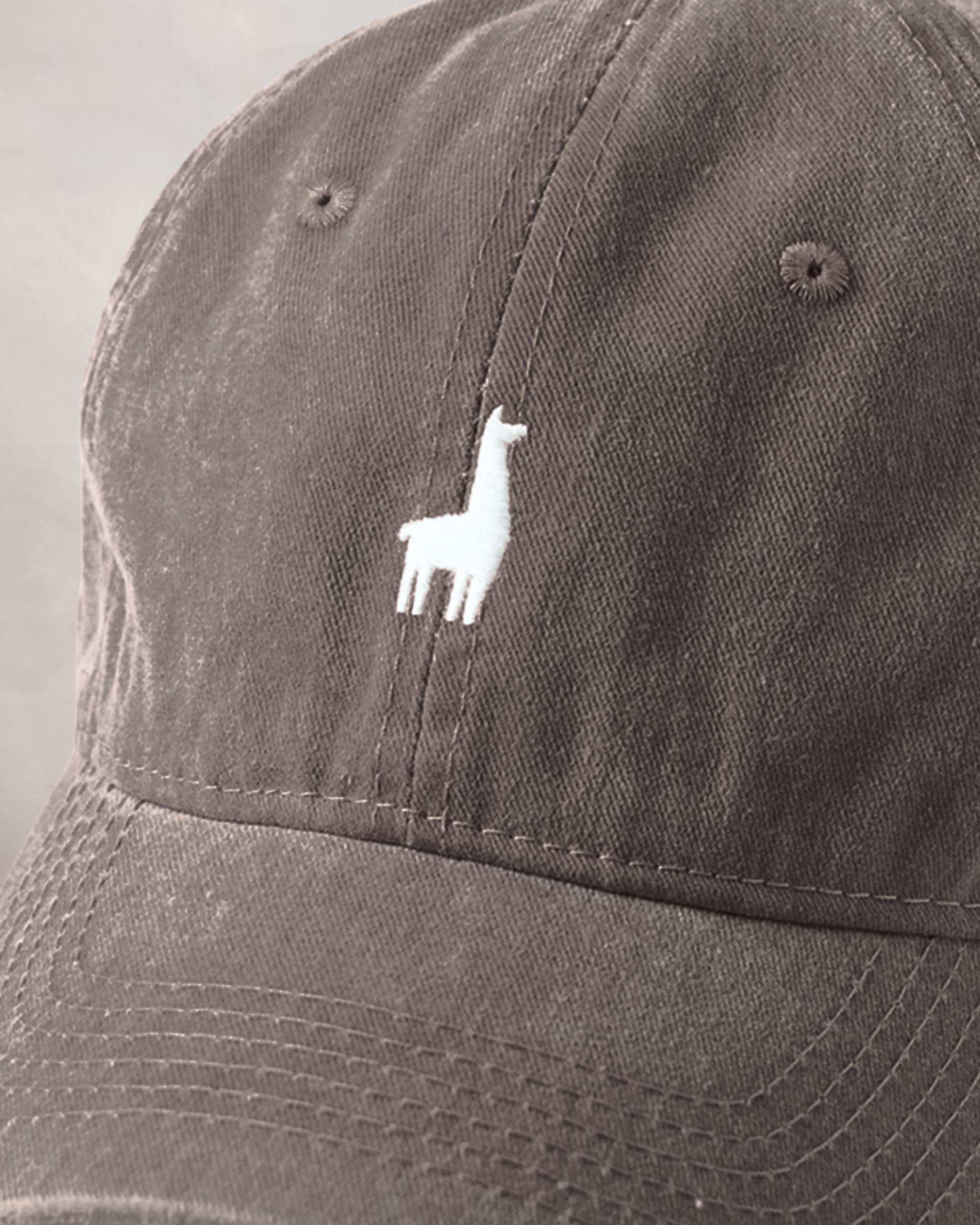 Gorra Marrón Qénido