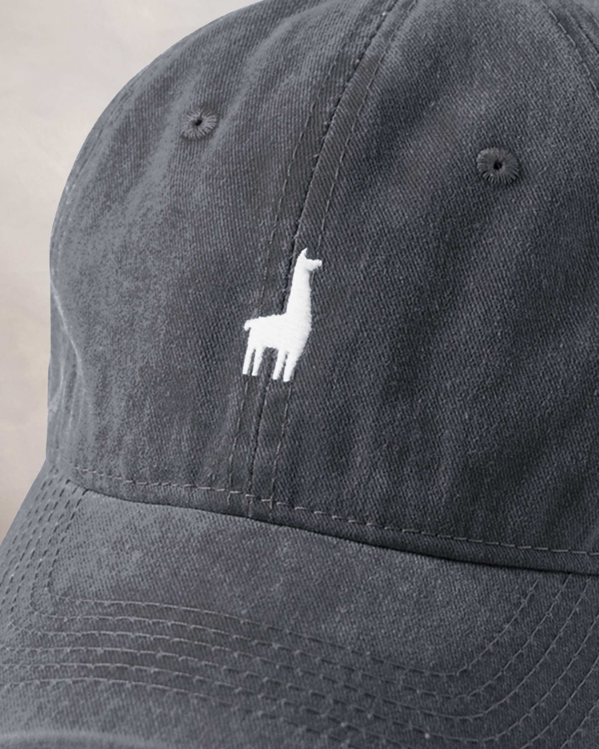 Gorra Negra Qénido