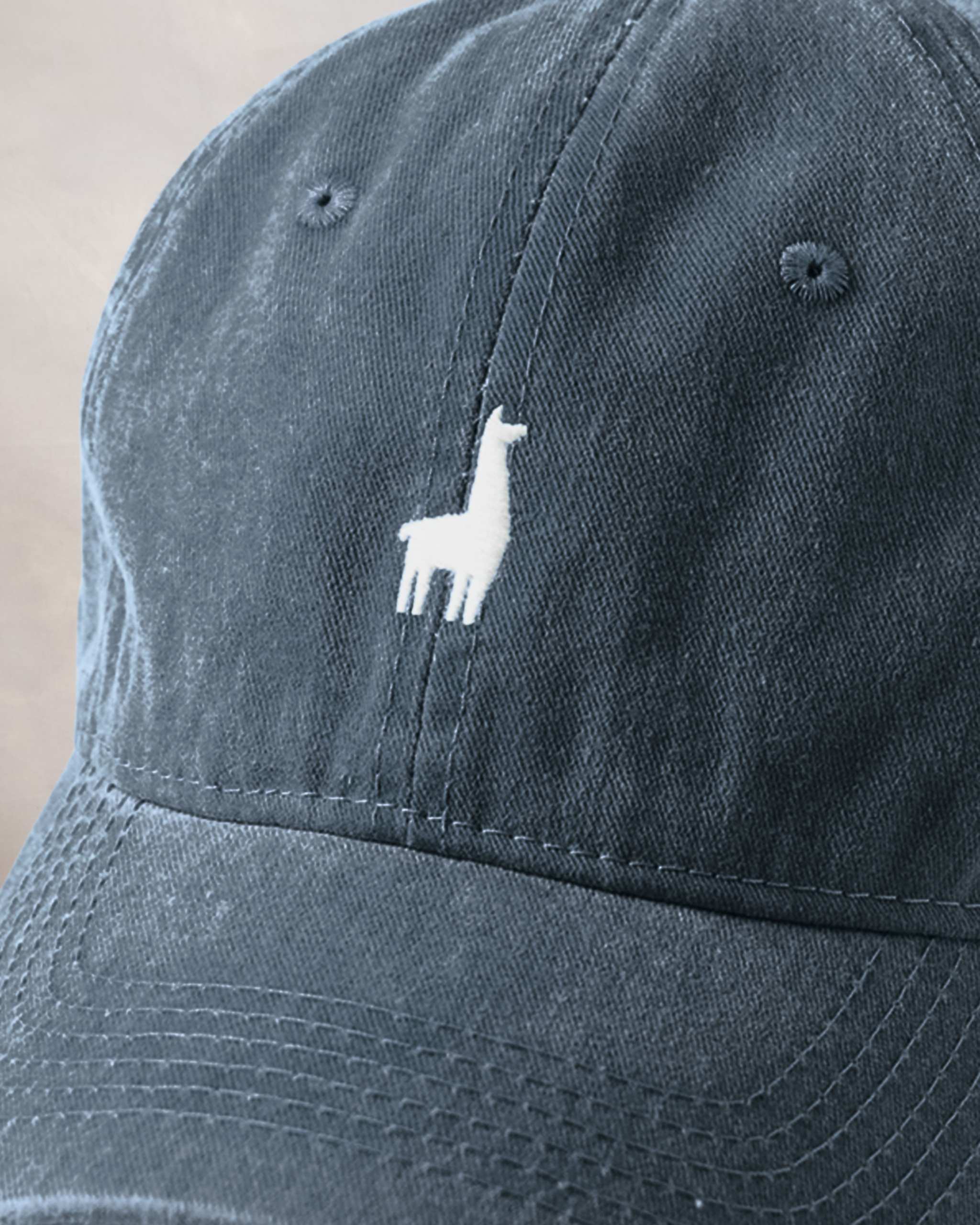 Gorra Azul Oscuro